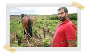 immagine di sebastien Riffault