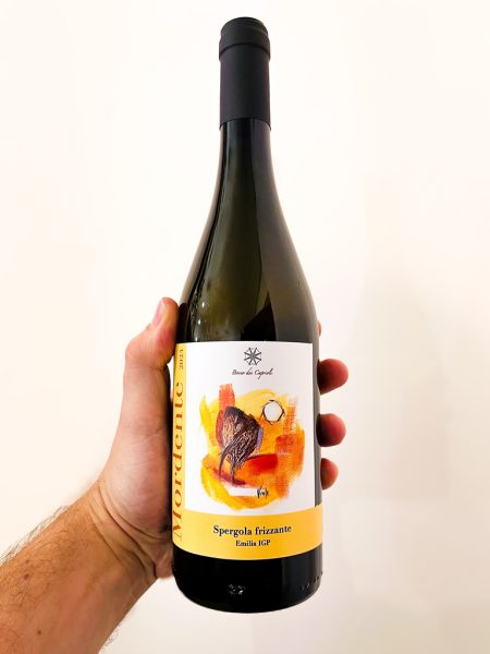 Mordente Bosco dei Caprioli è una bollicina orange emiliana divertente e delicata prodotta in soli 600 bottiglie circa. Da non farsi sfuggire!