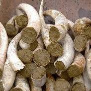 Corni di cacca riempiti di preparato 500