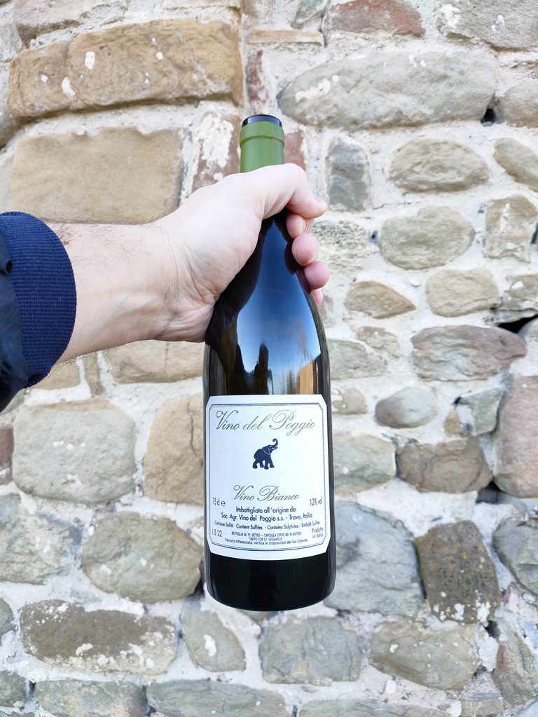 Sauvignon 2022 Vino del Poggio è un orange wine armonioso ed elegante. Un'interpretazione meravigliosa ed originale di questo vitigno!