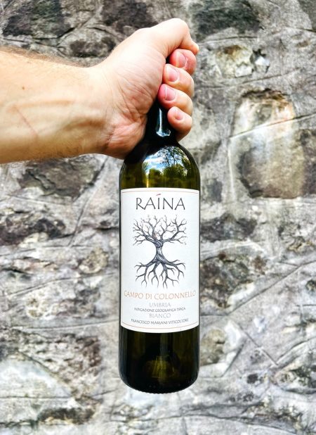 Campo di Colonnello Raina è un orange wine prodotto a Montefalco. Possiede un carattere rustico e semplice come questa terra. L'Umbria. E vi conquisterà!