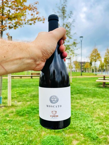 Moscato Le Anfore Elena Casadei è un orange wine dotato di grande eleganza e finezza. Un equilibrio perfetto tra aromaticità, freschezza e sapidità!